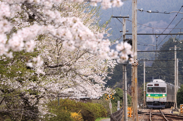 引っ越しをする